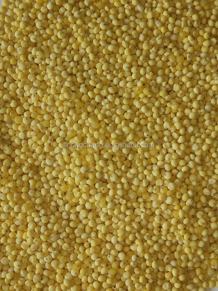 yellow millet for sale