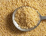 Yellow Millet,millet, millet for feeding, bird seeds