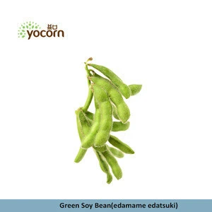 Yocorn Newest Crop IQF Frozen Fresh Edamame Soybean For Hot Sale