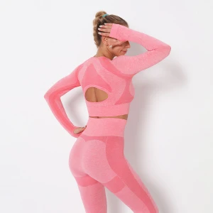 Yoga Seamless  active wear Fitness Clothing Sportswear High Waist Women Gym work out apparel woman crop top