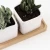 Import zakka bamboo wood planter box flower pot tray for sale from China