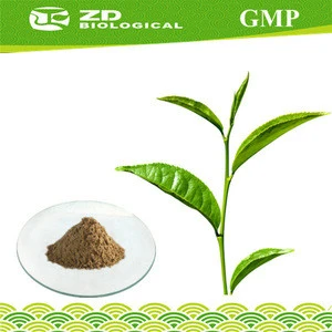 ZD Fresh longjing green tea health green tea extract Tea polyphenols