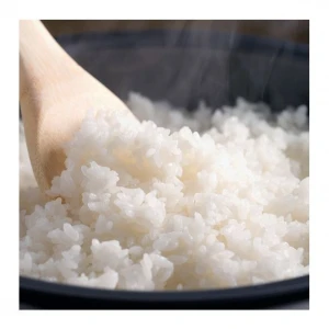 White Rice / White Rice 5% / Thai White Rice 5% In Bulk Top Quality Competitive Price