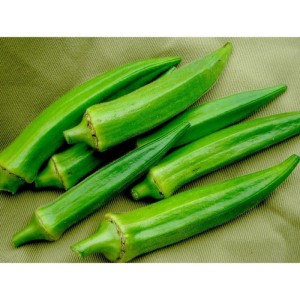 Fresh edible Okra/Green Okro Vegetable