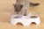 Import 15 Degree Tilted Cute Cat Face Elevated Double Transparent Plastic Raised Cat Food Water Bowl Dishes from China