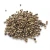 Import Superlative Quality Whole Form White Pepper Seed Spice Dried Herb Raw Food Form Worldwide Selling Market Price Genuine from South Africa