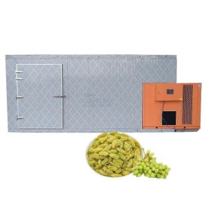 High Efficiency Meat Sausage Drying Oven Seafood Fish Dryer Room