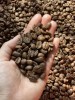 Green Coffee Beans - Unwashed/natural (color Sorter) Arabica S18