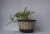 Import Wicker Pots from Indonesia