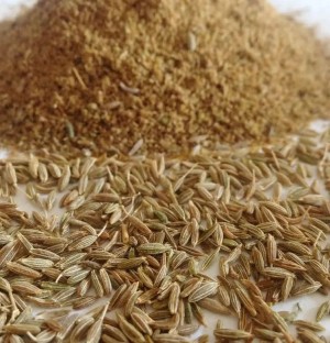 100% pure quality spices good price whole cumin seeds