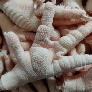 Halal Chicken Feet / Frozen Chicken Paws / Fresh Chicken Wings and Foot Nutritious Sugar-free
