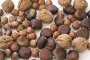 Chestnuts, hazelnuts