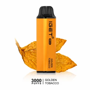 IGET Mega 3000 Puffs Vape Pen 10ml Prefilled Atomizer for OEM/ODM Bulk Order