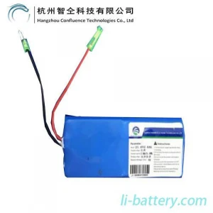 21.6V 2.6Ah Good Performance Lithium Ion Battery for Electric Scooter