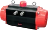 Pneumatic Actuator