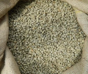 Specialty Arabica Coffee – Cupping Score 82+ | Screen 16/17 | Export Quality