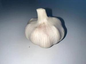 4.0-6.0CM Fresh Garlic