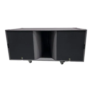Double 10" Subwoofer