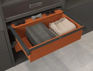 Pull-out Storage