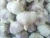 Import 4.0-6.0CM Fresh Garlic from China
