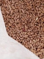 Kidney Beans for Wholesale Export