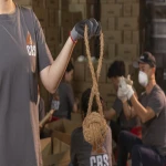 CBS Vietnam Coconut Ball for Dog