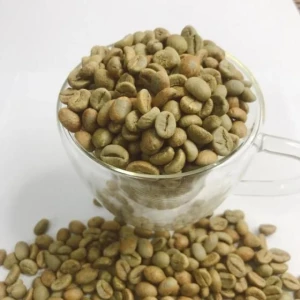 Rubusta and Arabica Green Coffee Beans