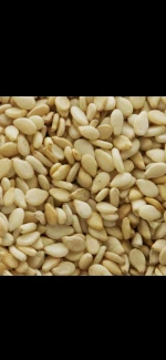 Sesame