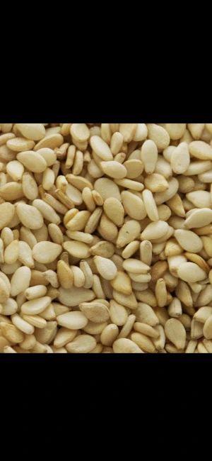 Sesame