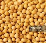 soyabean for sale