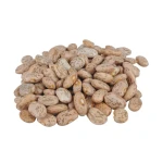 Wholesale Pinto Bean Red Speckled Kidney Beans for Sale