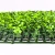 Import Most realistic top quality decorative artificial plant wall for outdoor landscaping from China