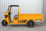 Wolf Qingsan Drove Truck