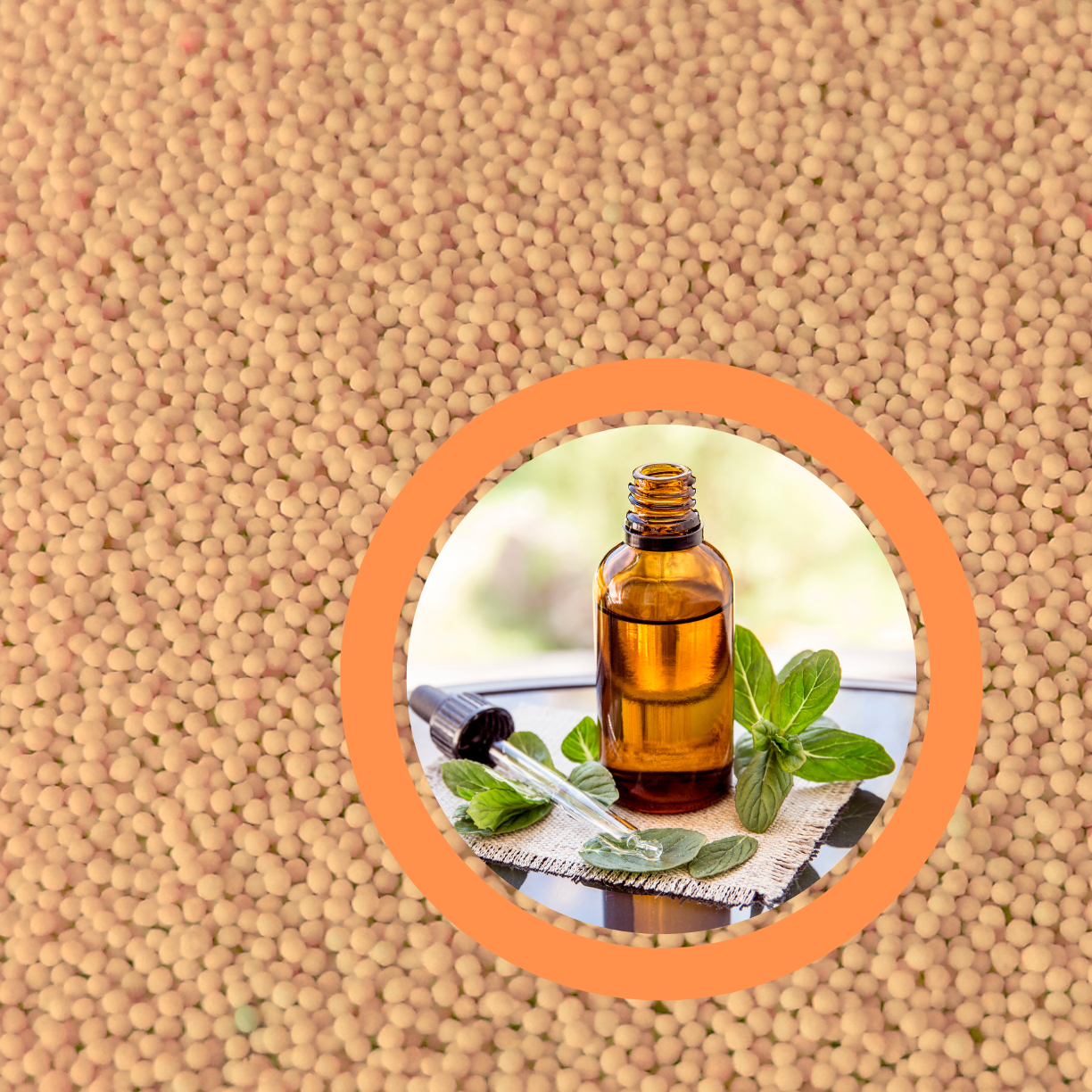 Buy Dissolving Mint Oil Spheres from Umang Particle Science, India ...
