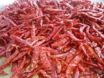 Sannam 341 Deluxe  Dry Red Chilli