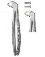 Dental Forceps