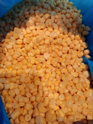 iqf frozen sweet corn kernel