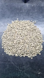 Special Arabica Coffee - 84