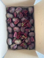Beetroot