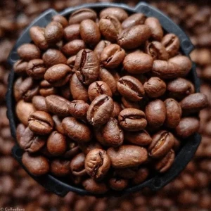 Arabica S16 Roasted Coffee from Vietnam