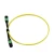 Import Trunk Cable SM MM OM3 MPO|MTP Fiber Cable Trunk Cable 2.0mm from China