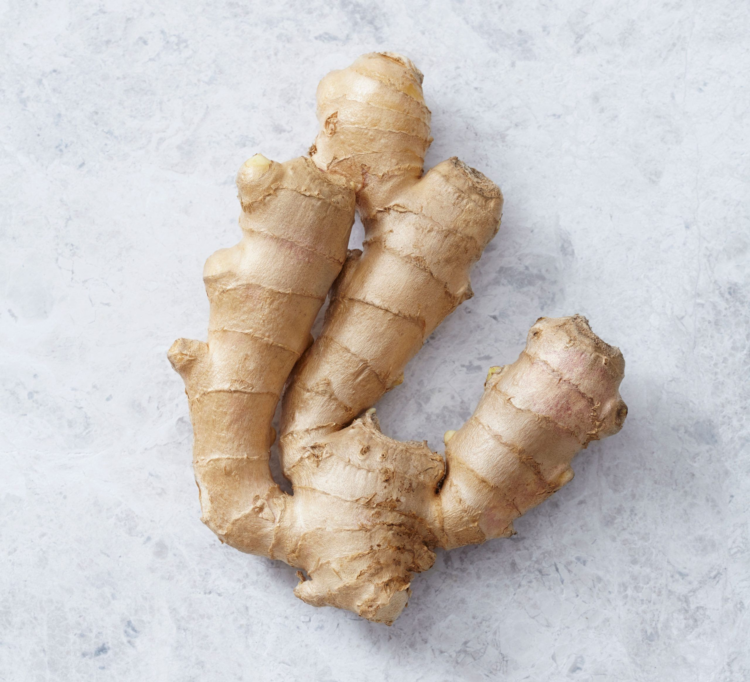 Buy Natural Elephant Ginger Fresh And Dry Large Size Organic Elephant ...