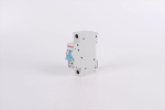 Circuit breaker C65 1P
