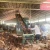 Import Heavy duty coconut shell fiber jute fiber extraction machine, automatic palm fiber extraction production line from China