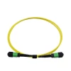 Trunk Cable SM MM OM3 MPO|MTP Fiber Cable Trunk Cable 2.0mm