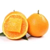 100% Natural Citrus Bulk Fresh Orange Fruit Exporter with Good Price