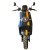 Import 1200W Powerful Motor Electric Motorcycle (EM-013) from China