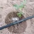 Import 16*1.2*200mm Inner Round Dripper Drip Irrigation Pipe drip farm Irrigation System Best quality drip line from China