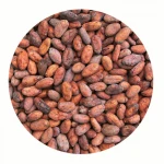 20-22 Alkalized Cacao Powder, Premium Quality!