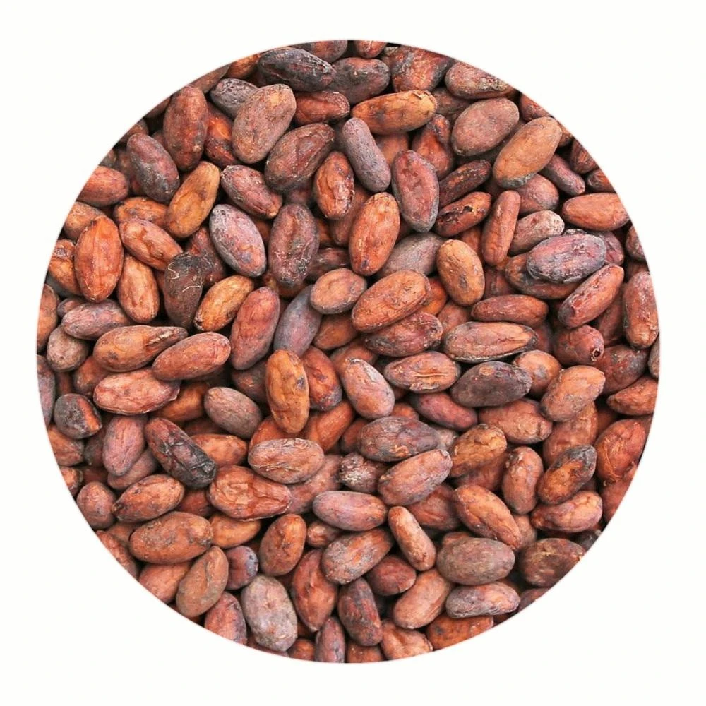 20-22 Alkalized Cacao Powder, Premium Quality!